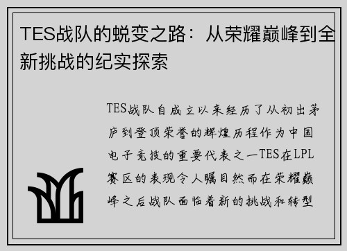 TES战队的蜕变之路：从荣耀巅峰到全新挑战的纪实探索